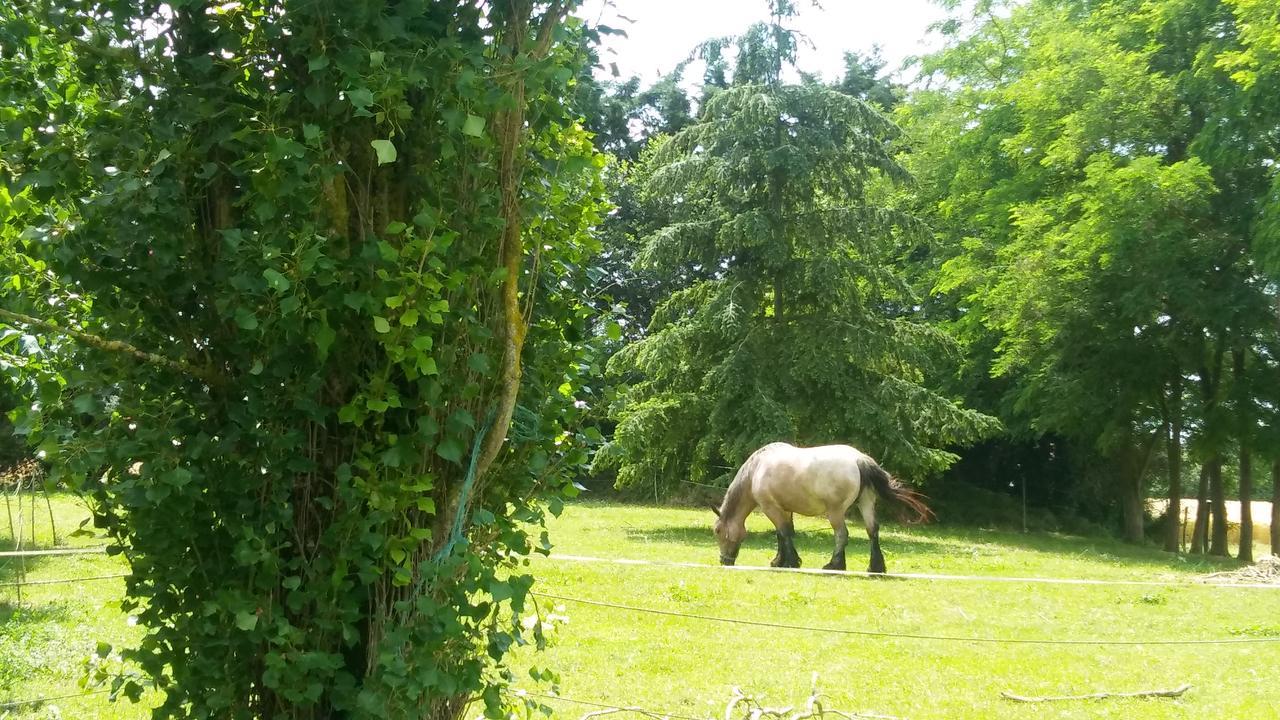 Manoir De Vilaines Varennes  Eksteriør bilde